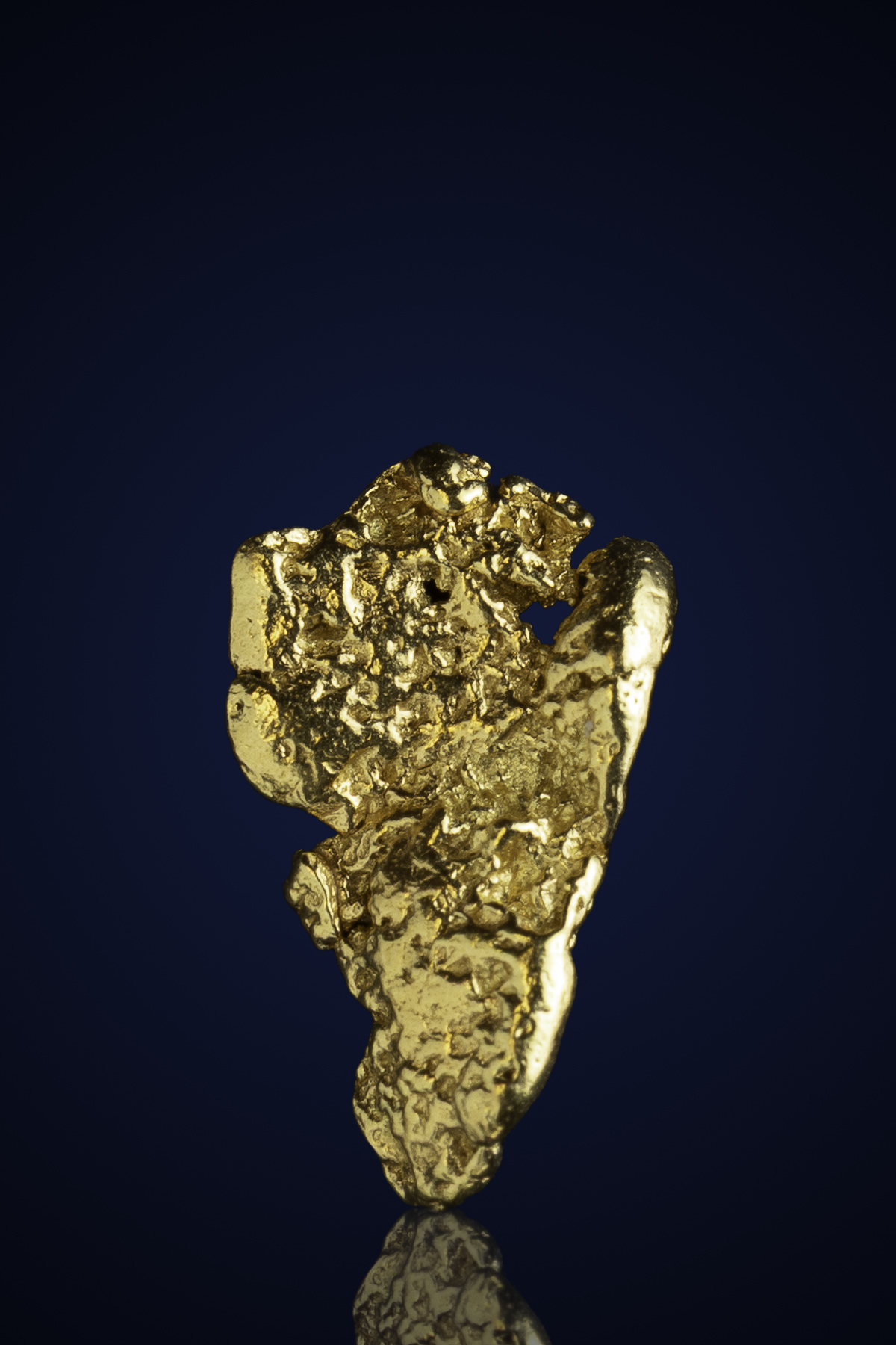 Gleaming, Tapered Natural Gold Nugget - Alaska 2025 Summer Mining Season - 1.58 grams (image for) Gleaming, Tapered Natural Gold Nugget - Alaska 2025 Summer Mining Season - 1.58 grams